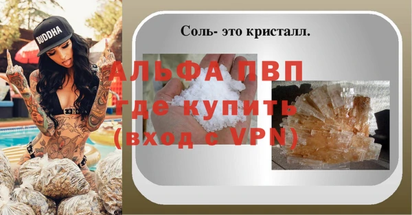 дмт Белокуриха