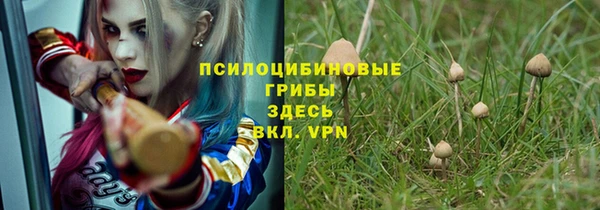 дживик Белоозёрский