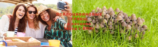 PSILOCYBIN Балабаново