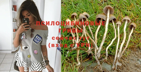 дживик Белоозёрский