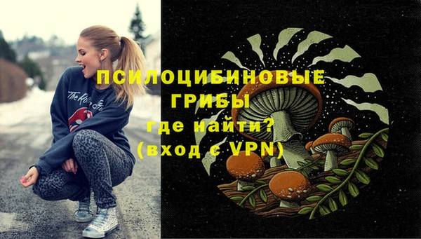 дмт Белокуриха