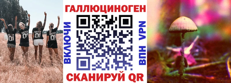 Псилоцибиновые грибы ЛСД  где найти   Бор 